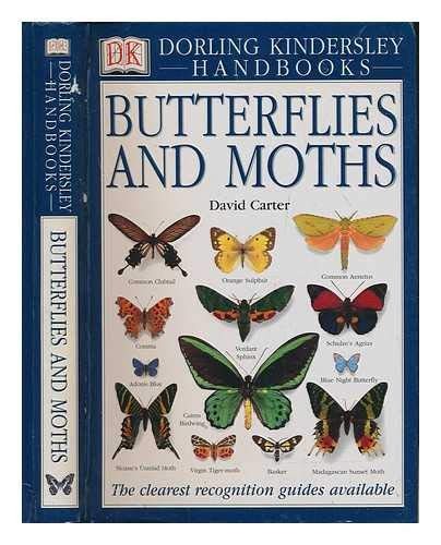Butterflies and moths - butterflies,