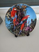 MACAW WEDGEWOOD PLATE  GREEN-WINGED MACAWS  FRAGILE PARADISE   LIMITED EDITION