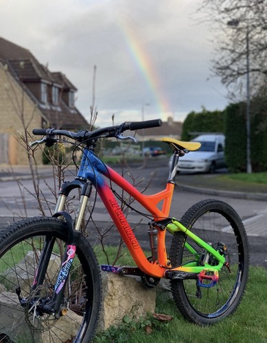 Rainbow specialized - rainbow,