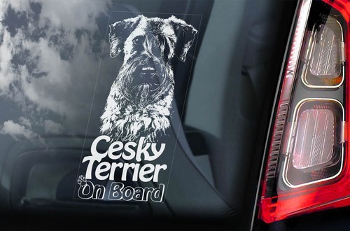 Cesky terrier sticker car - cesky,