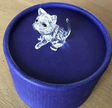SWAROVSKI CRYSTAL KITTEN (2019