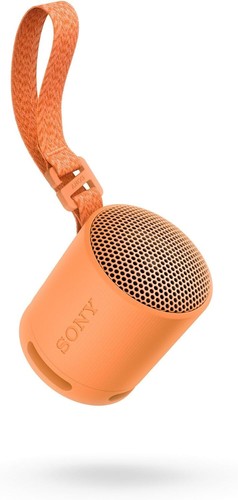 Sony srs xb100 wireless - -,
