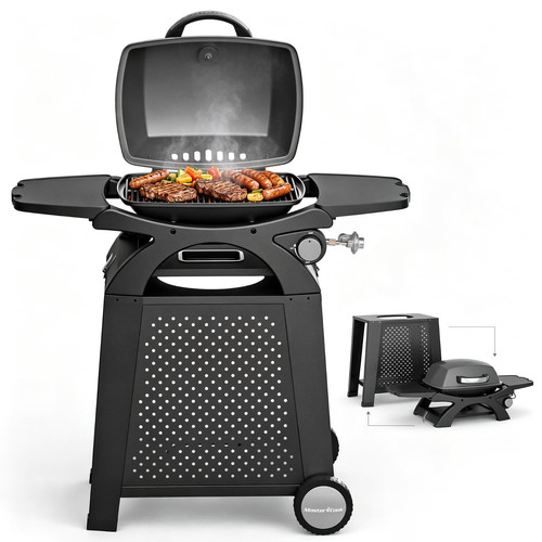 Master cook propane - master,