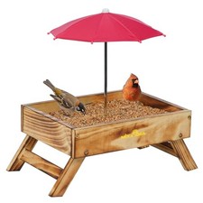 Ground Bird Feeder for
