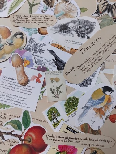 Nature ephemera job - ephemera,