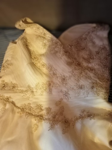Ivory strapped ball gown - ivory,