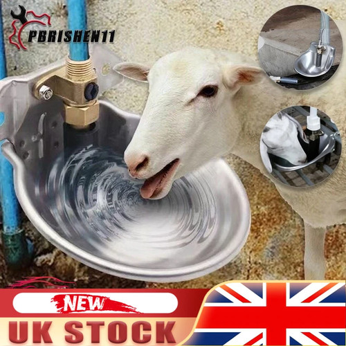 Automatic water trough - trough, drinker