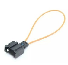 Most fibre optic loop female - fibre,
