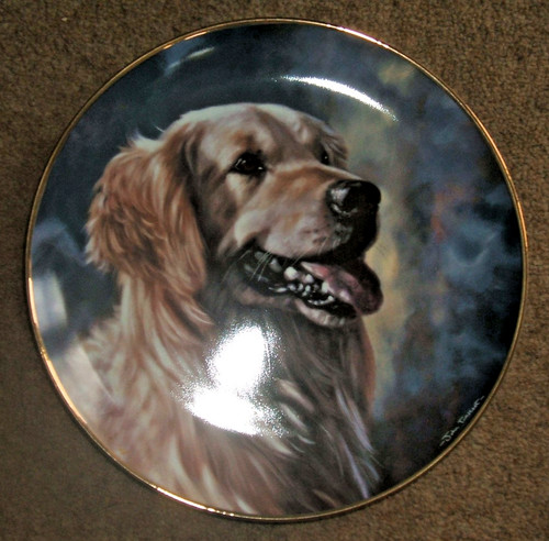 Proud portrait decorative - proud,
