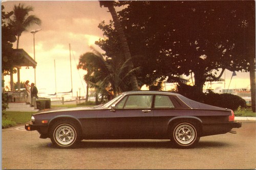 The new line jaguar - new,