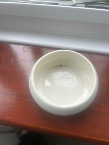 Midwinter semi porcelain cream - semi,