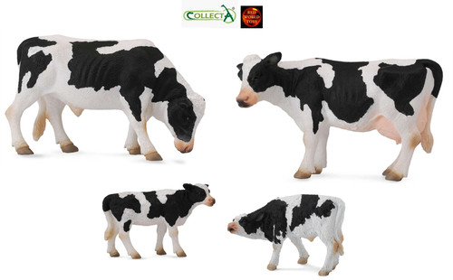 Friesian cattle bull - cattle, cow