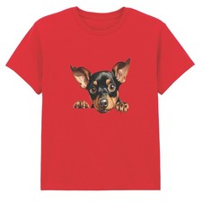 Miniature Pinscher Peeking Dog