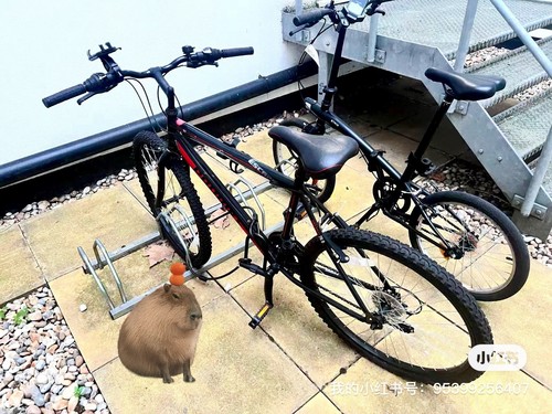 Cycling bike - cycling,