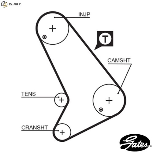 Timing belt 5572xs - timing,