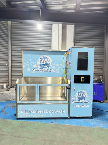 Self service dog - dog, wash