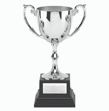 Nickel Plated Metal Cup Trophy