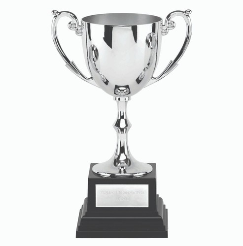 Nickel plated metal cup - metal, trophy