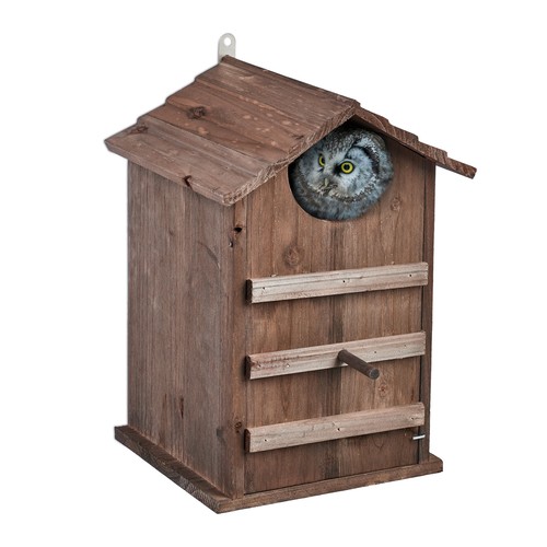 Owls nesting box - , owl