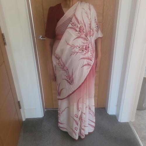 Handpainted chiffon saree - saree, sari