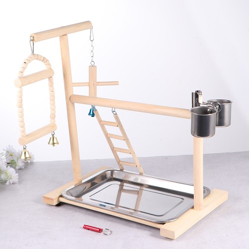Parrots playground bird play - bird,