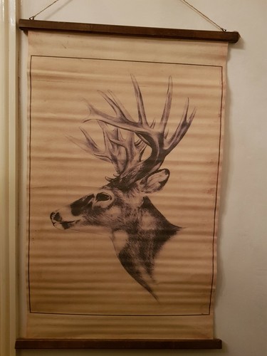 Large wall hanger stag - hanger, a