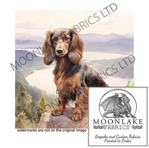 Dachshund long hair scenery - dachshund,