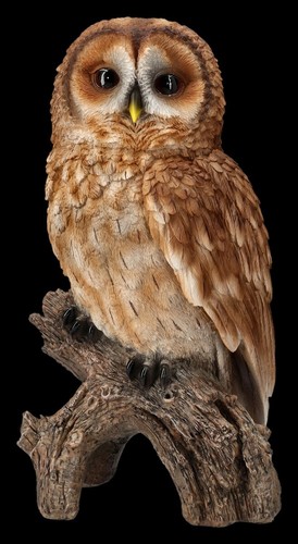 Garden figure owl - owl, large
