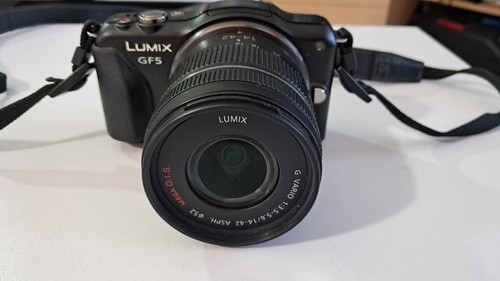 Panasonic lumix vario - g,