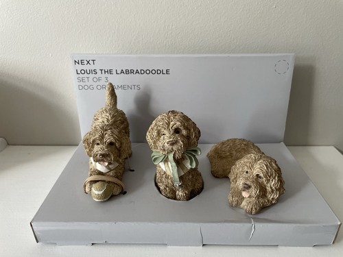 Next louis the labradoodle - labradoodle, set