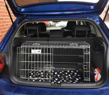 Volkgswagen Polo SE Dog Travel