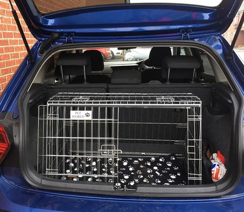 Volkgswagen polo dog - volkgswagen, travel
