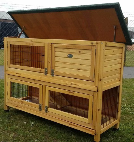 Rabbit hutch guinea pig - rabbit,