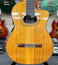 Takamine NPT-315