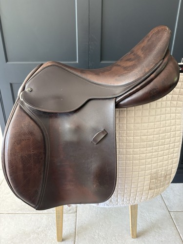Brown working hunter - brown,