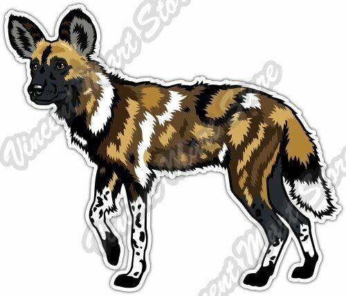 African wild painted - wild, dog