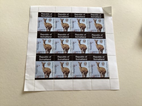 Klipspringer antelope mint - klipspringer,
