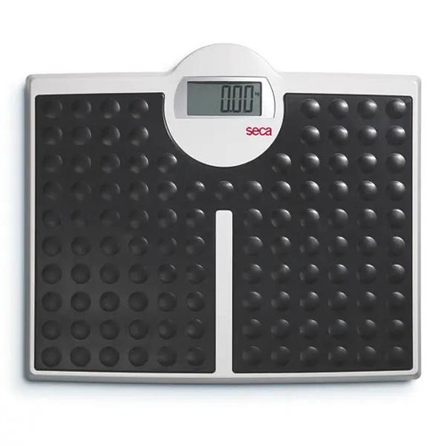Seca 813 digital - 813,
