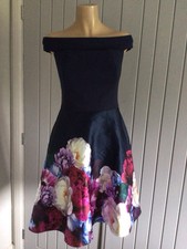 Gorgeous Ted Baker Dress Size
