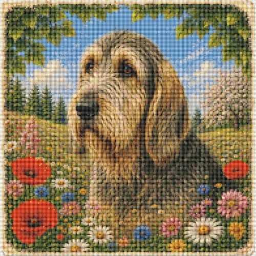 Otterhound puppy dog summer - puppy,