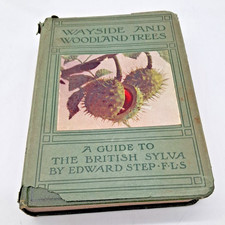 1940 Edward Step WAYSIDE AND