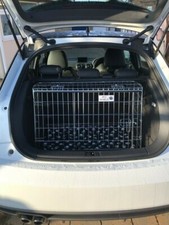 Dog puppy pet - , aid