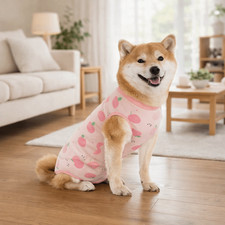 High Elasticity Cotton Dog