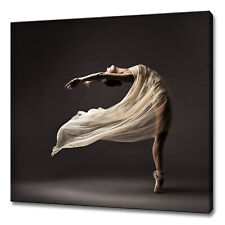 Elegant Ballerina Ballet