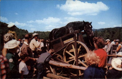 Frontier town horse treadmill - town,