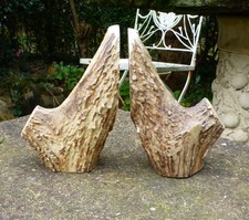 Vintage Scottish Red Deer Stag
