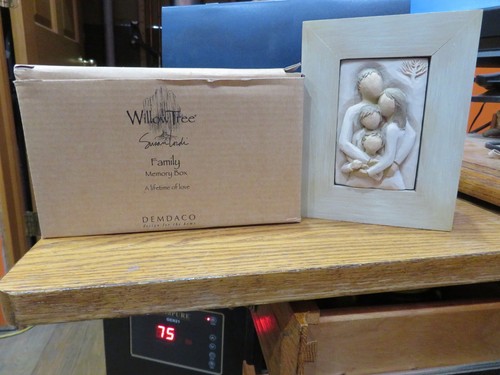 Willow tree family memory - willow,