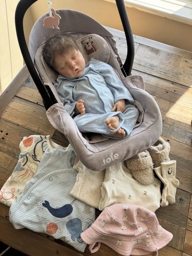 Reborn doll twin by bonnie - , b