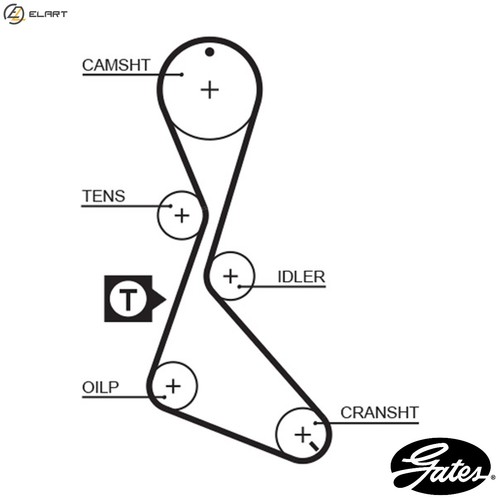 Timing belt 1130rm - timing, renault