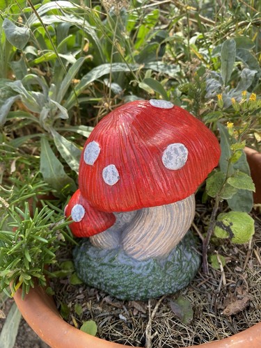 Mushroom toadstool stone - toadstool,